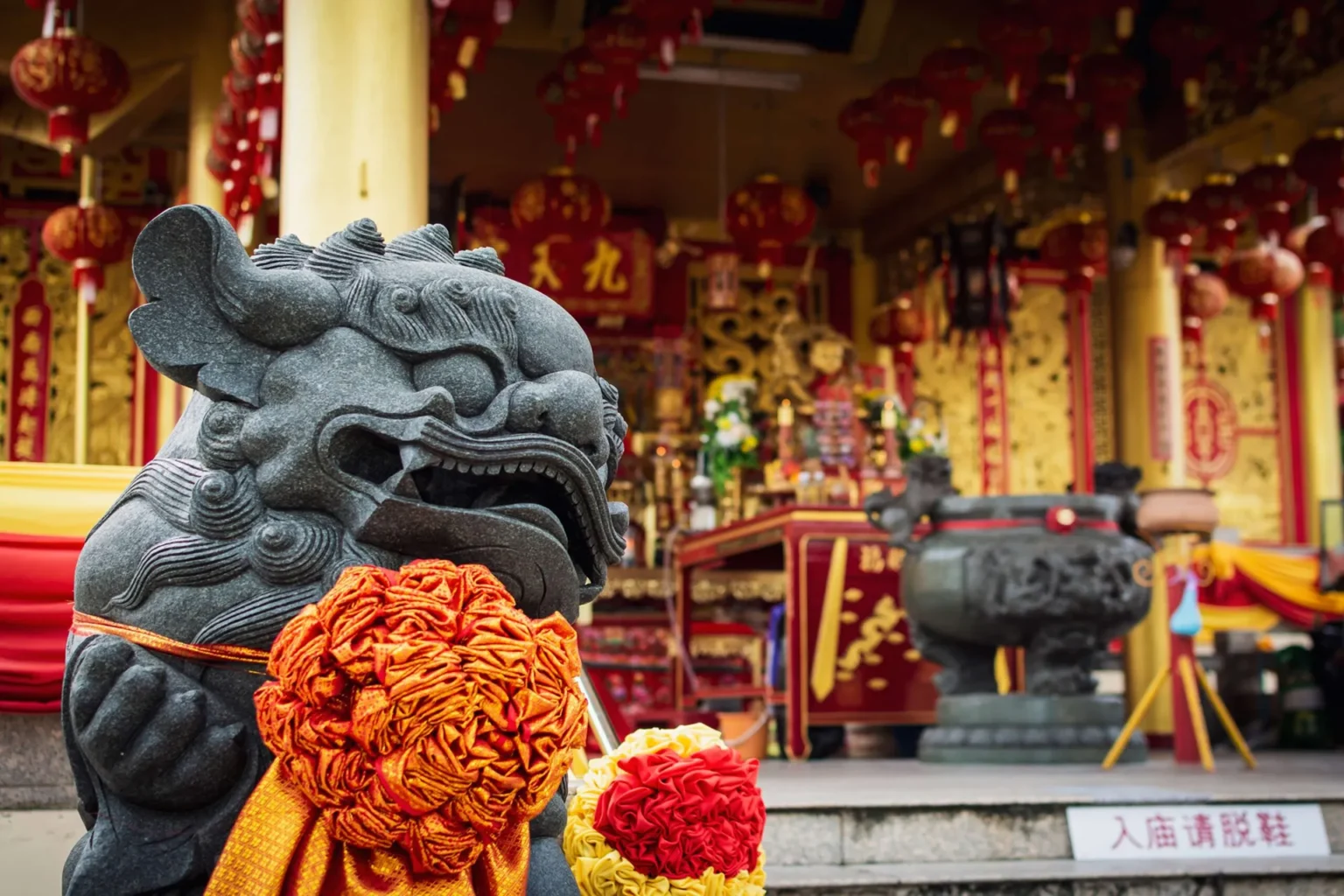 Veggy-Festival-Phuket-scaled 1